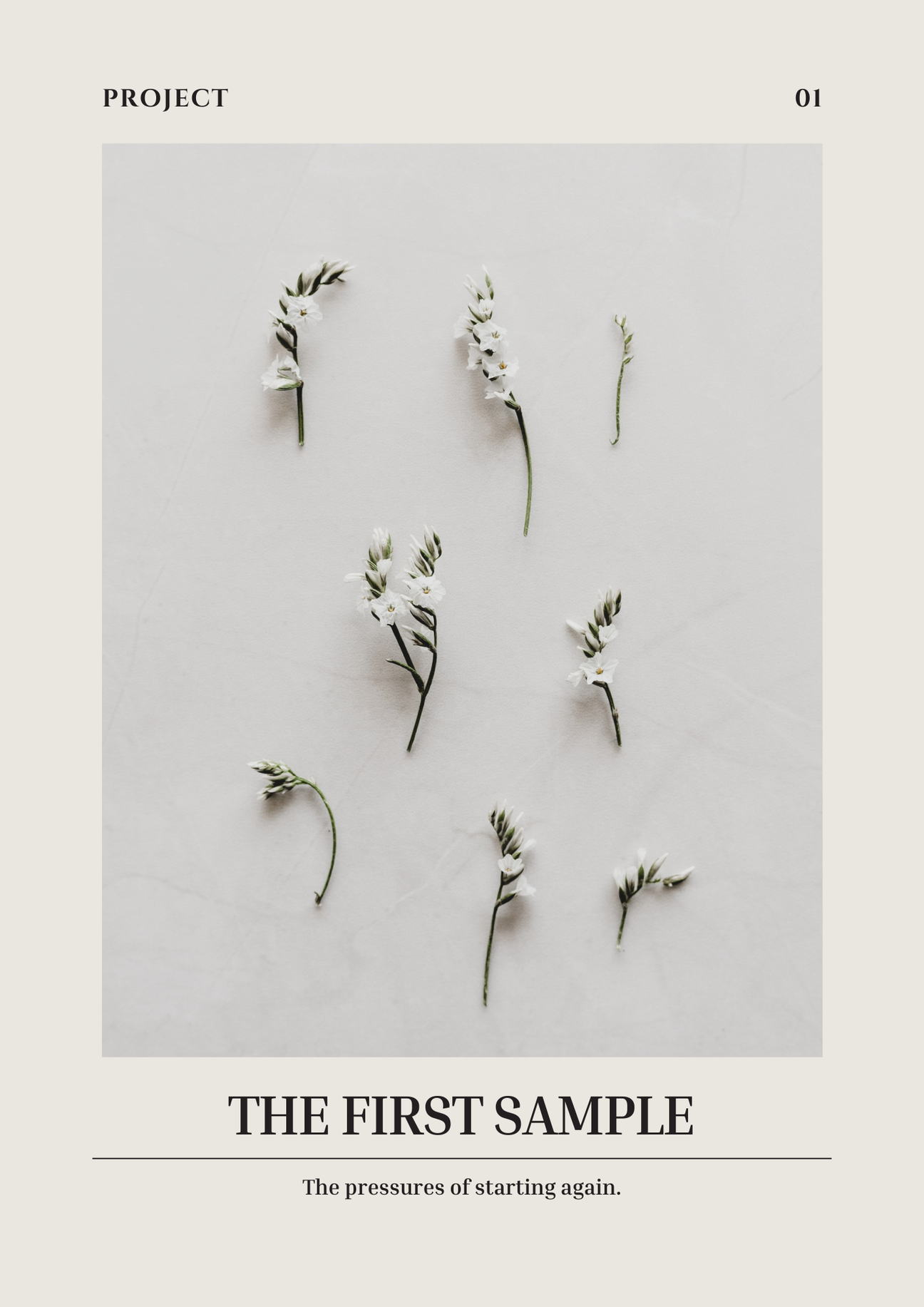 The First Sample