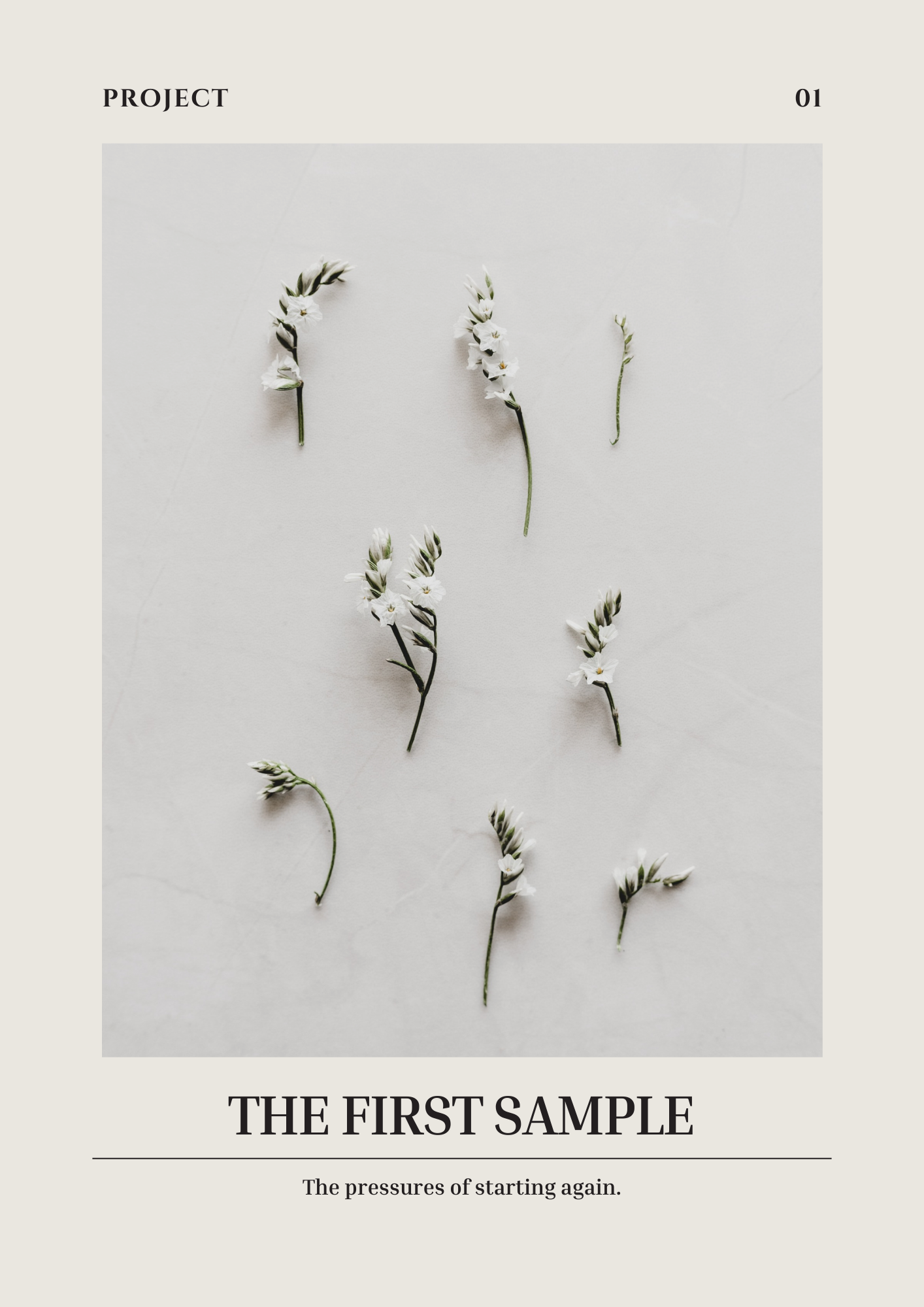 The First Sample